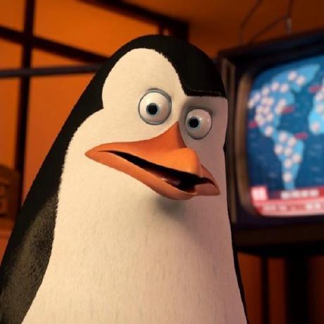 Profile picture of Kowalski