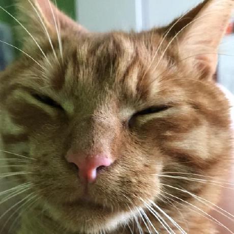 Profile picture of Jakub Wawrzynowicz